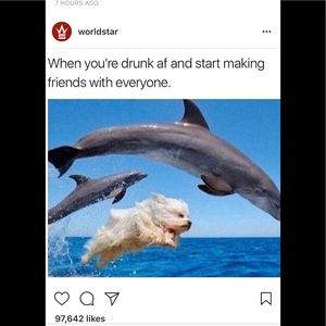 Meet your Posher, Saint